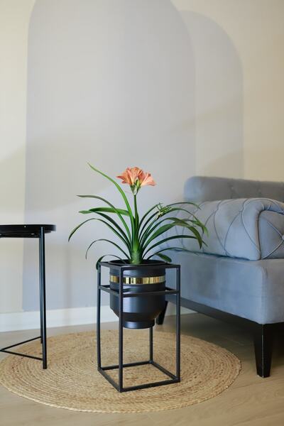 Genel Markalar Metal Saksı Ayaklı Çiçeklik Dekoratif Siyah Gold Detaylı Saksı...