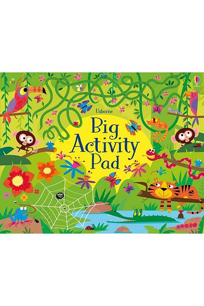 Usborne Big Activity Pad (pads)