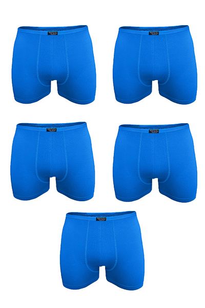 Anıt Boxer pentru bărbați, albastru, 5 bucăți Lycra din bambus moale 5ant1273