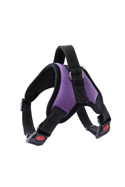 Ans Dog Chest Collar Size S