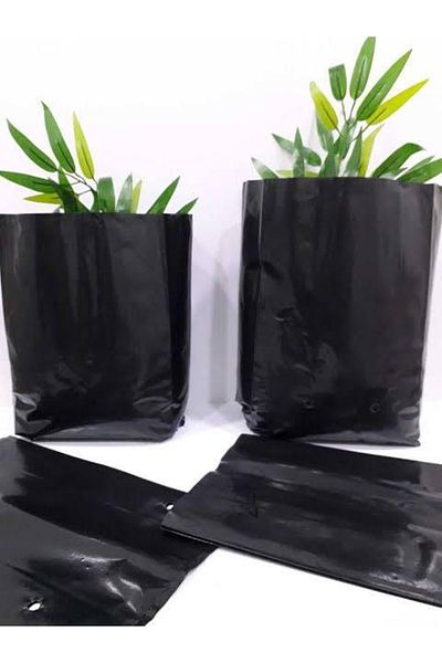 MERT AMBALAJ Tree Planting Seedling Poset Black 10 Pieces/10*25*5/