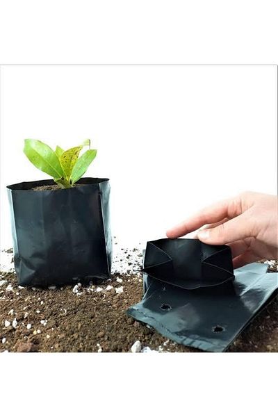 MERT AMBALAJ Tree Planting Seedling Poset Black 10 Pieces /13*26*9/