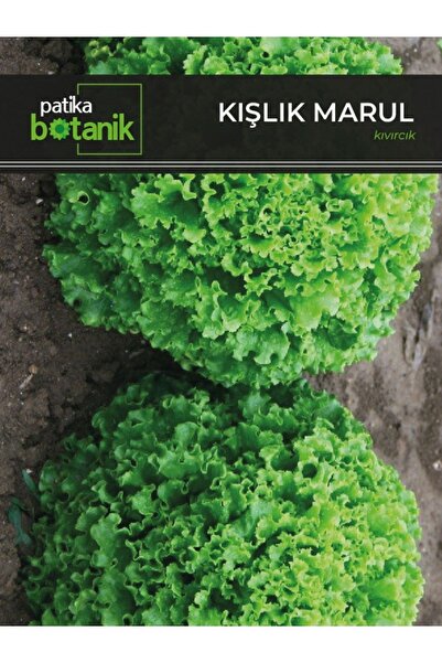 LİFE Drip Life 2000 Adet Kışlık Kıvırcık Marul Tohumu