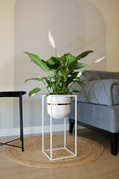 Genel Markalar Metal Saksı Ayaklı Çiçeklik Dekoratif Beyaz Gold Detay Saksı V...