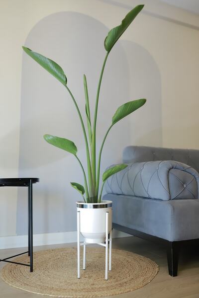 Genel Markalar Dekoratif Metal Saksı Ayaklı Çiçeklik Beyaz Gümüş Detaylı Saks...