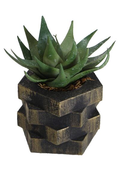 Yapay Çiçek Deposu Изкуствена сукулентна растение в дървена саксия с колело 14 см