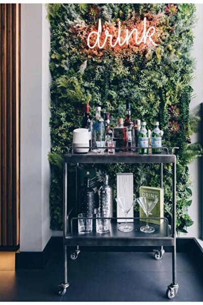 Red Proje Neon Led Aydınlatma Drınk Gece Lambası Parti Süsü Işıklı Duvar Dekor