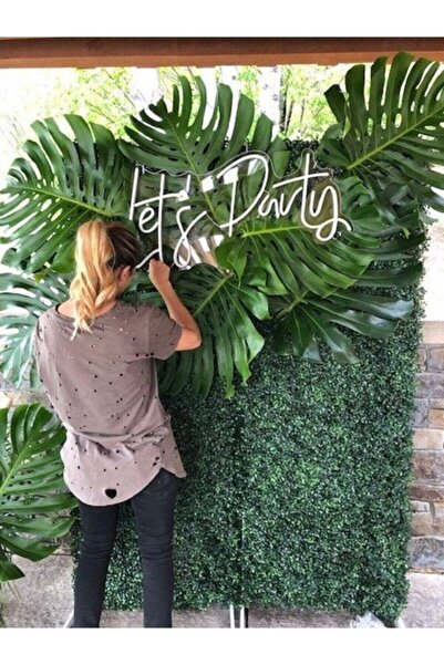 Red Proje Neon Led Aydınlatma Letsparty Gece Lambası Parti Süsü Işıklı Duvar ...