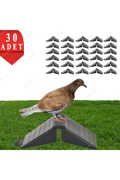 MUTLU TAVUKÇULUK Tünek Güvercin Bekar Tüneği 30 Adet Plastik Kuş Pigeon Yuva ...