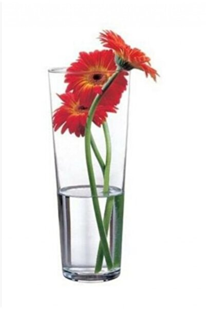 Paşabahçe 43177 Cam Vazo - Botanica Vazo 26 Cm.