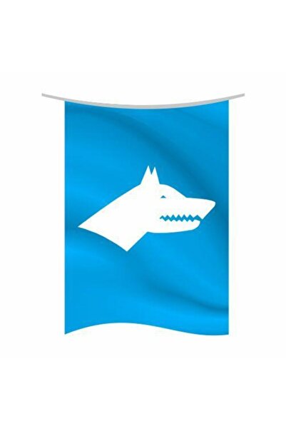 Rekbay Göktürk Bayrağı Dikey Model 70x105cm