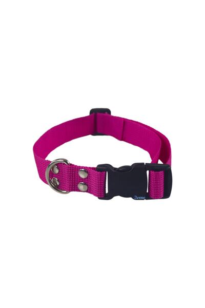 Pembe Kedi Tasmasi Modelleri Fiyatlari Trendyol