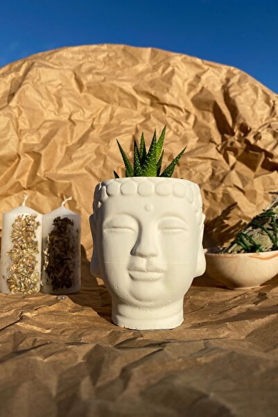 SANAT SEPET İŞLERİ Beyaz Buda Heykel Büst Skulent Saksılık - 8,5 X 9 Cm