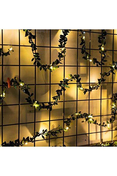 KozmoParti Işık Zinciri, Dış Mekan Ve Iç Mekan Dekorasyonu, 5 Metre 50 Led Şe...