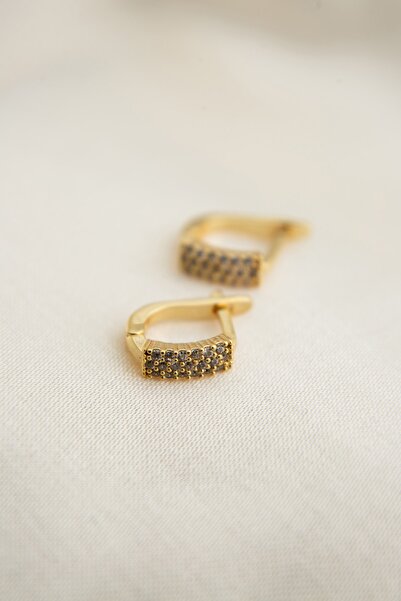 Elika Silver Kadın Altın Kaplama Taş Detaylı Küpe