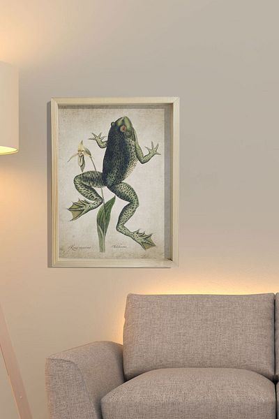 Dekor Loft Ζωγραφική τοίχου με φυσικό πεύκο Αρχαίος βάτραχος