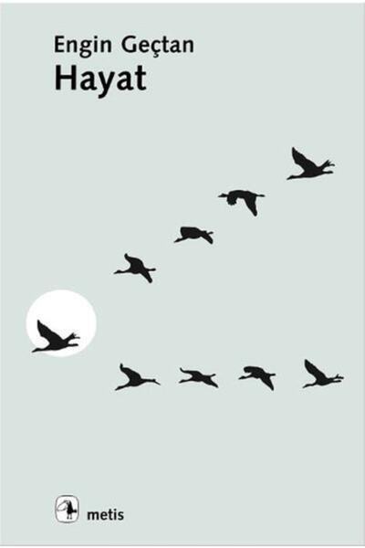 Metis Yayınları Metis Yayınları-hayat-engin Geçtan