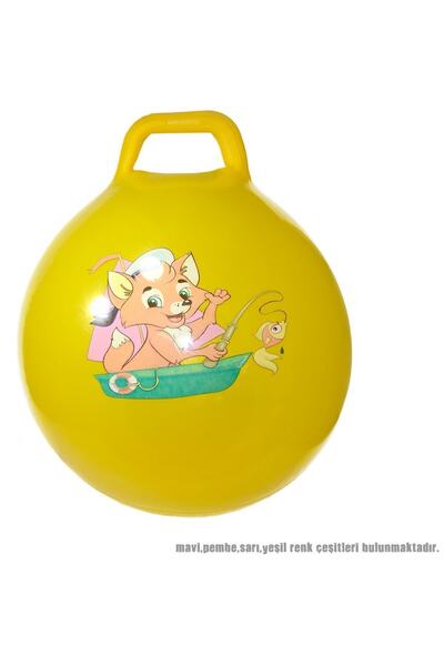 CAN OYUNCAK Cn-628a 55 Cm Zıplama Topu