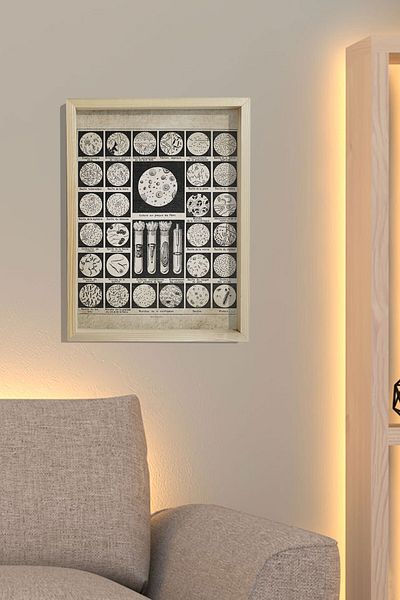 Dekor Loft Ζωγραφική τοίχου με φυσικό πλαίσιο πεύκου Βακτήρια και μικρόβια