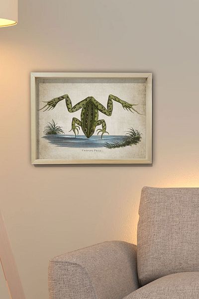 Dekor Loft Pictură de perete cu ramă de pin natural Broască antică