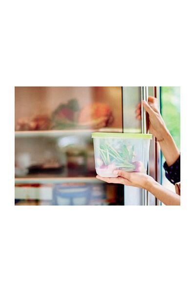 Tupperware Greenhouse 1.8 Lt