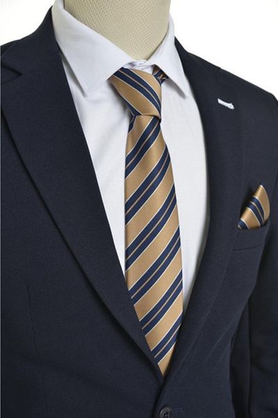 Brianze Men's Striped Cream Navy Blue Handkerchief Tie