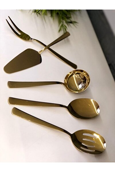 ROY KING طقم صوص رويكينج فينوس 5 قطع تيتانيوم لامع