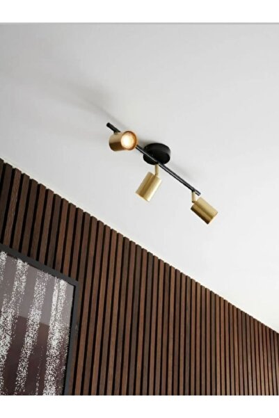 Rsylight Metal Modern 3 Lü Eskitme Kaplama Mafsallı Led Spot Avize Beyaz Ampullü