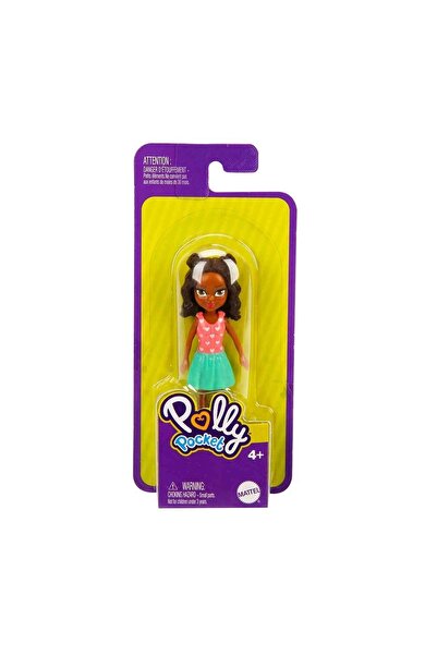 Polly Pocket Ve Arkadaşları Serisi- Fwy19-