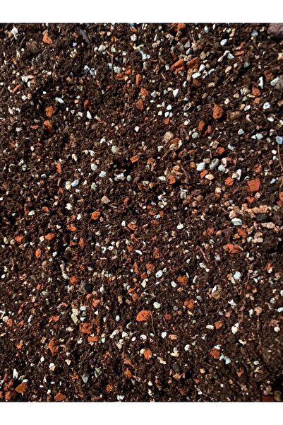 Asenya Kaktüs Sukulent Toprağı 5 Litre - Teraryum Için Uygun Toprak