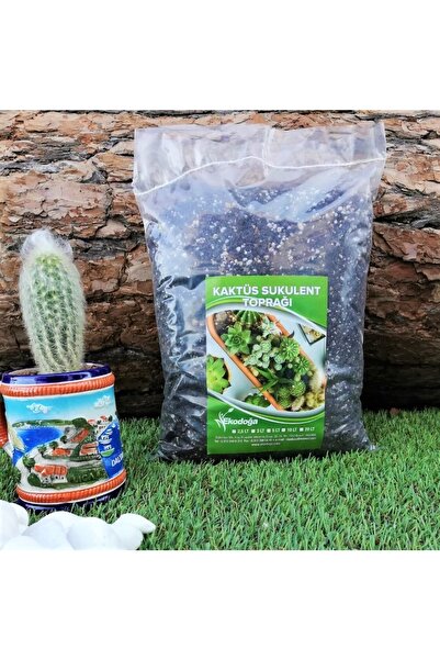 Asenya Kaktüs Sukulent Toprağı 5 Litre - Teraryum Için Uygun Toprak