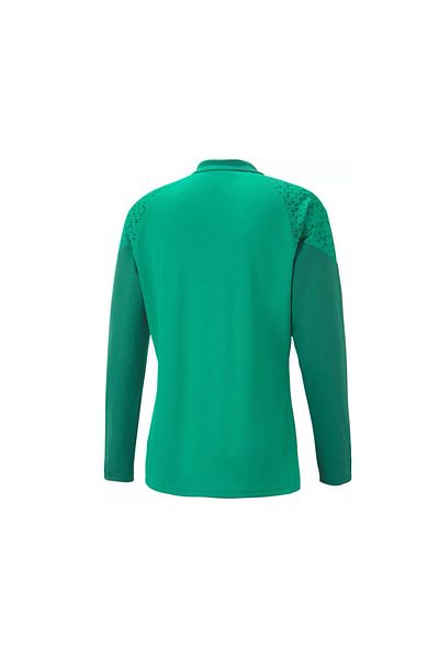 Puma Teamcup Training 1/4 Zip Top Ανδρικό μακρυμάνικο μπλουζάκι προπόνησης ποδοσφαίρου 65798205   Πράσινο