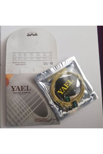Yael Acoustic Guitar String Y-cj