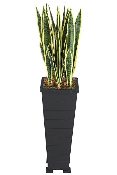 Yapay Çiçek Deposu Ahşap Saksıda Yapay Paşa Kılıcı Sansevieria Ağacı 125 Cm