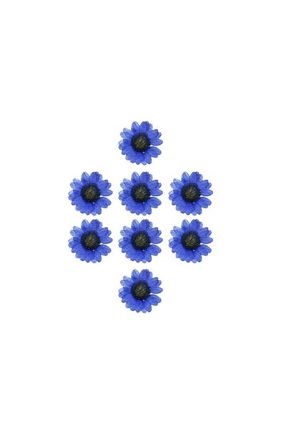 Getshop Αποξηραμένο Daisy Blue 8 Τεμάχια