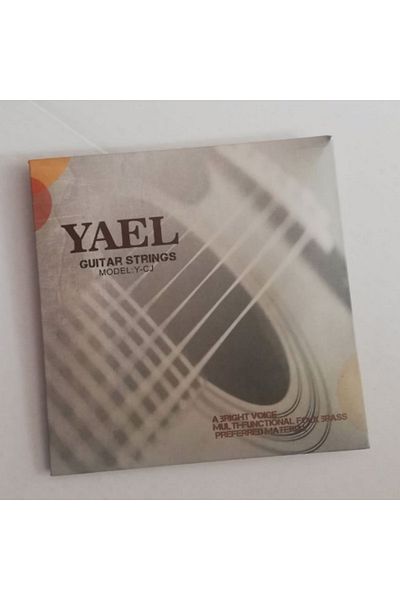 Yael Acoustic Guitar String Y-cj