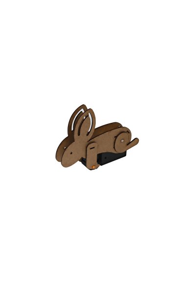 Robot Bunny (stem,robotik )