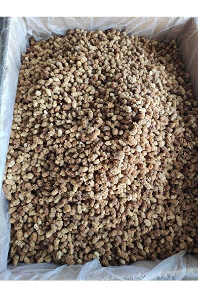 Zirve Erzincan Dut Kurusu Organic 1kg Dogal