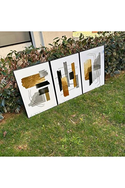 Linacci Üçlü Siyah Alüminyum Metal Çerçeveli Geometrik Soyut Siyah Beyaz Camlı Poster Tablo Seti