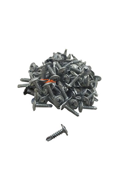 yıldırım nalbur 250 Adet Matkap Uçlu Akıllı Vida 2.5 Cm Mercimek Başlı Vida Y...
