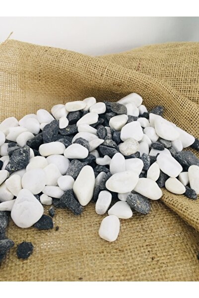 Asenya Renkli Çakıl Taşı 1 Kg 1-2 Cm Siyah Beyaz Saksı Dibi Taşı Teraryum Vaz...