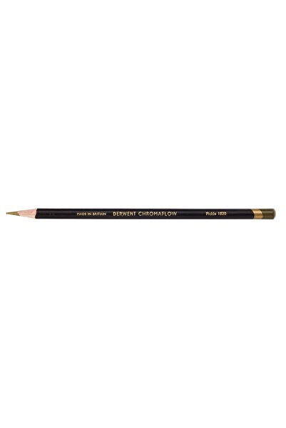Derwent Dry Paint Pen Pickle 1830
