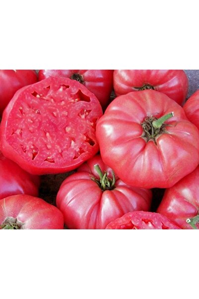domatta Gıda Domates