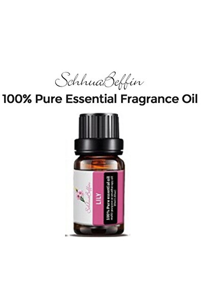 yakuppolt 4 Lü Aromaterapi Yağı Hava Nemlendirici Buhar Makinası Için Uçucu Yağ Aroma Yağı Difüzör 4 Lü Koku