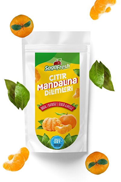 SagaFresh Saga Fresh Dondurularak Kurutulmuş Mandalina Dilimleri (15g)