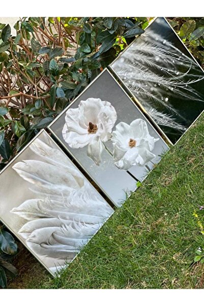 Linacci Üçlü Gümüş Alüminyum Metal Çerçeve Çiçek Tüy Camlı Poster Tablo Seti