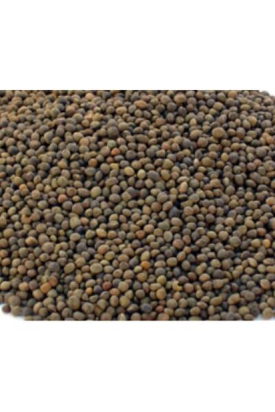 MUTLU TOHUM Firba Macar Fiğ Tohumu Kansur 1 Kg Tartılıp Başka Ambalajda Gönderilecektir