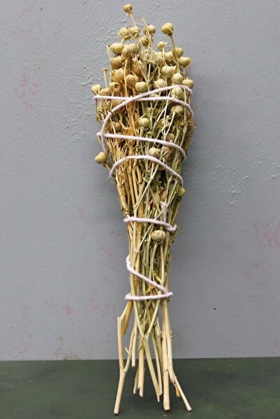 aktarix Doğal Üzerlik Otu Tütsüsü 1 Adet