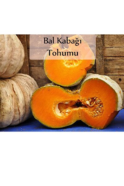 Fento Bal Kabağı Tohumu 1 Paket Kabak Tohumu Kapalı Paket Tohum Bal Kabağı Ta...