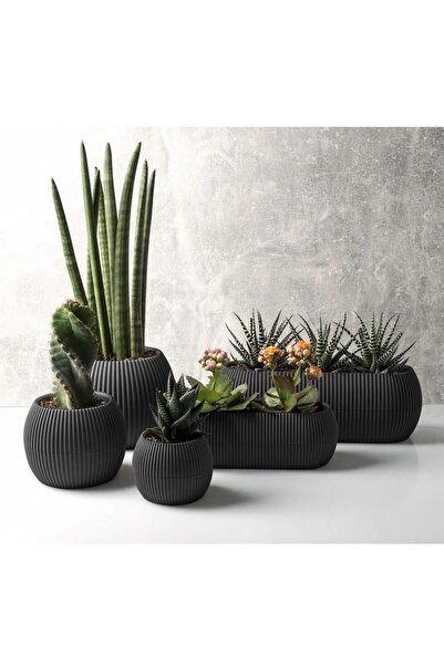 DDTREND Dekoratif 5 Parça Modern Mercan Saksı Seti (BİTKİLER DAHİL DEĞİLDİR)